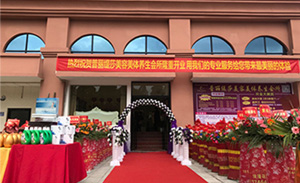 香蕉视频网页版走近湖南潇湘之...