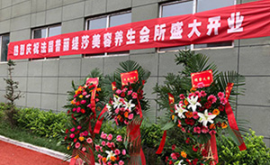 优雅旗袍秀，惊艳了普丽...
