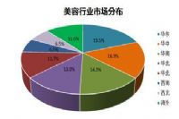 美容行业分析与促销方法