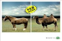 美容院虚假广告盛行，谁的过错