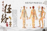 经络养生会所香蕉网视频在线观看