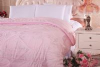 冬季不要让螨虫陪你过夜