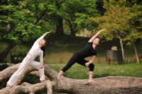 美容瑜伽体式大盘点