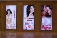 美容院广告灯箱设计效果图