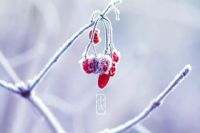 盘点小寒节气美容院的暖心问候
