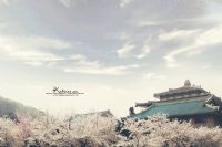 三月春风起，浪漫樱花季