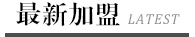 成功案例